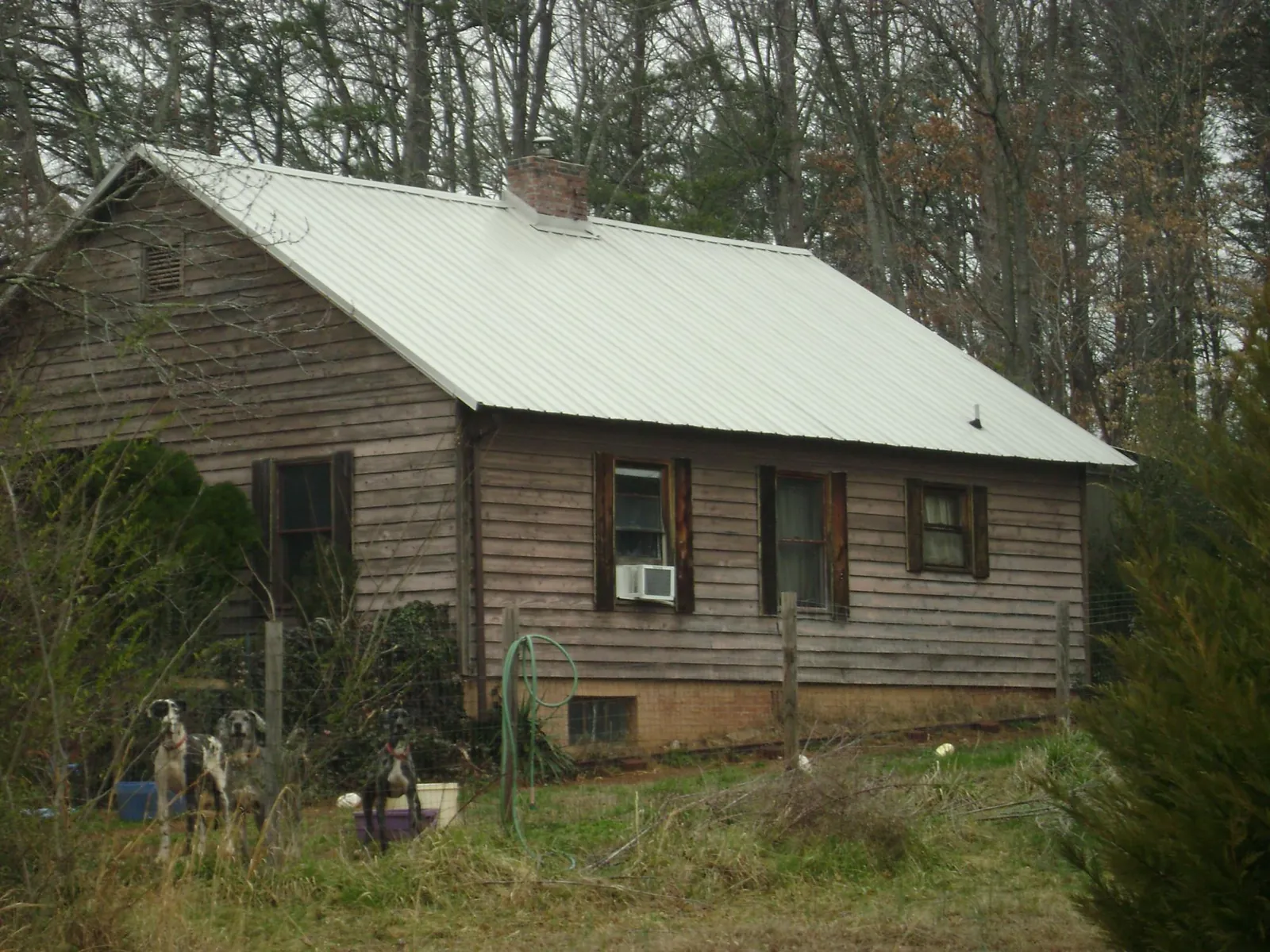 White metal roof on an old wood sided farmhouse, from a Asphalt Shingle Roof Repair job in Ruby